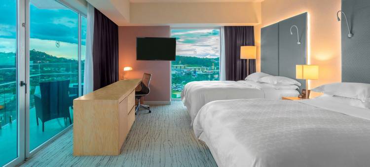 哥斯达黎加圣何塞喜来登酒店(Sheraton San Jose Hotel, Costa Rica)图片