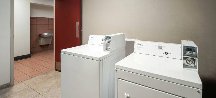 莱辛顿 - 汉堡红屋顶套房酒店(Red Roof Inn & Suites Lexington – Hamburg)图片