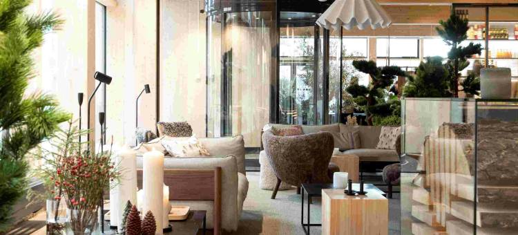 精英木酒店，水疗和度假村(The Wood Hotel by Elite, Spa & Resort)图片