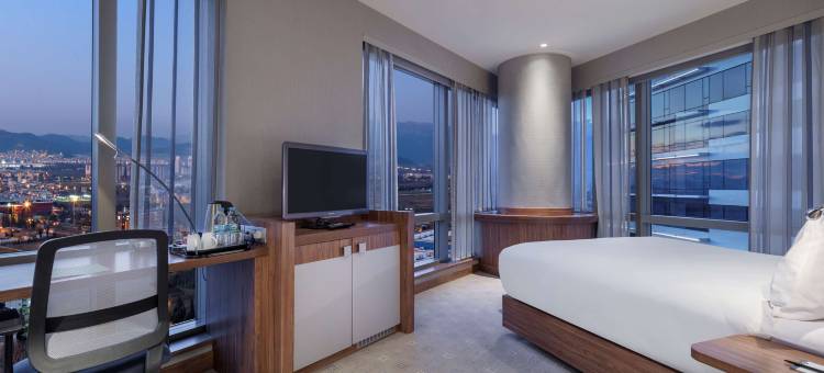 布尔萨欢朋酒店(Hampton by Hilton Bursa)图片