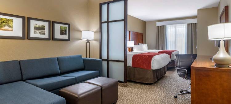 佛伦伦萨I-95舒适套房酒店(Comfort Suites Florence I-95)图片