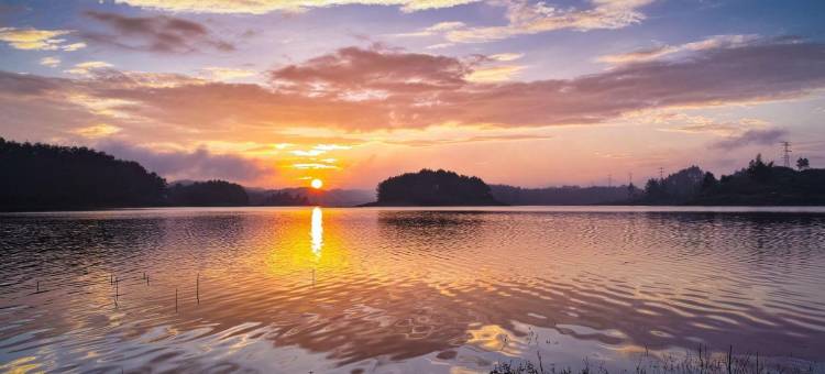 速8酒店(河池汽车总站店)图片