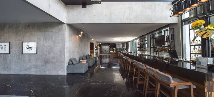 美洲嘉年华蒙特雷帕韦永M.酒店(Fiesta Americana Monterrey Pabellón M.)图片