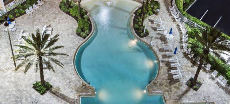 奥兰多 - 迪士尼之泉®区假日酒店 - IHG 旗下酒店(Holiday Inn Orlando – Disney Springs™ Area, an IHG Hotel)图片