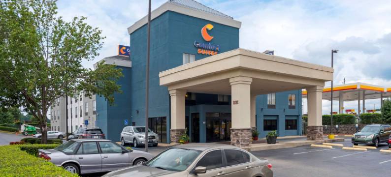 富尔顿戴尔I-65附近I-22舒适套房酒店(Comfort Suites Fultondale I-65 Near I-22)图片