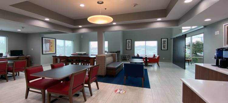 智选假日套房酒店萨默塞特中央(Holiday Inn Express & Suites SOMERSET CENTRAL by IHG)图片