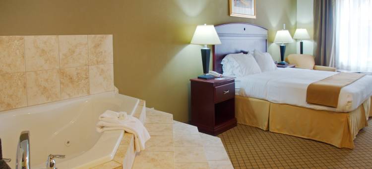 洲际智选假日酒店及套房温尼(Holiday Inn Express & Suites Winnie)图片