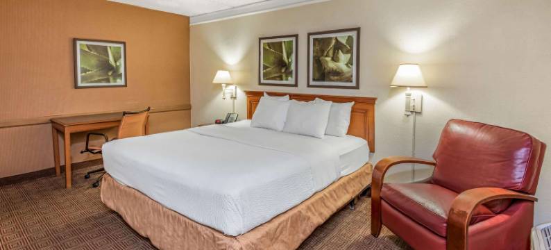 圣安东尼奥拉克兰拉昆塔温德姆酒店(La Quinta Inn by Wyndham San Antonio Lackland)图片