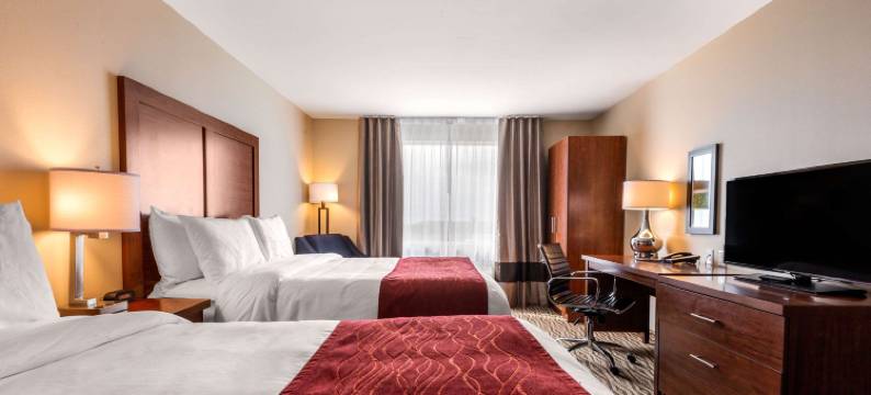 舒适套房酒店(Comfort Inn & Suites)图片