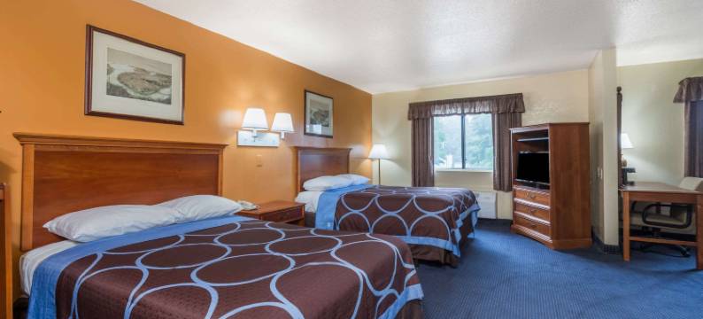 哈特福德速8酒店(Super 8 by Wyndham Hartford)图片