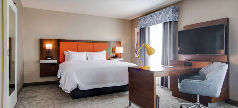 纳什维尔北天际线智选假日套房酒店(Hampton Inn & Suites by Hilton Nashville North Skyline)图片