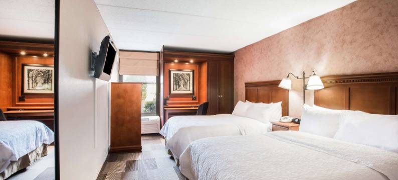 希尔顿欢朋酒店-西斯普林菲尔德(Hampton Inn West Springfield)图片