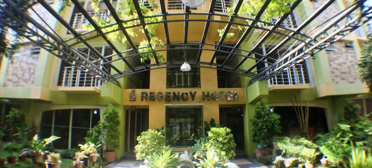 美岸丽景酒店(Regency Hotel de Vigan)图片