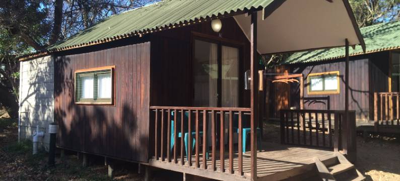 珊瑚潜水者酒店(Coral Divers)图片