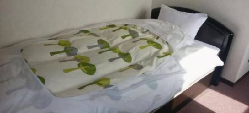 青春酒店(Hotel Wakasato)图片