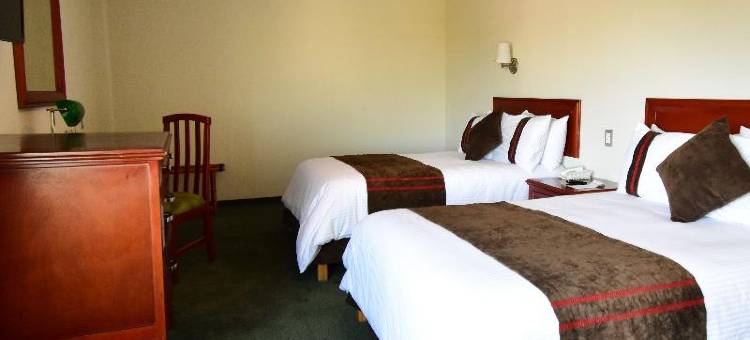 米森莱昂酒店(Hotel Mision Leon)图片
