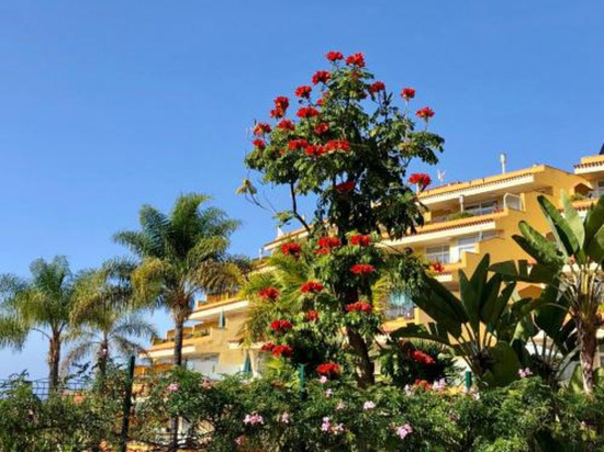 狄格佳套房公寓