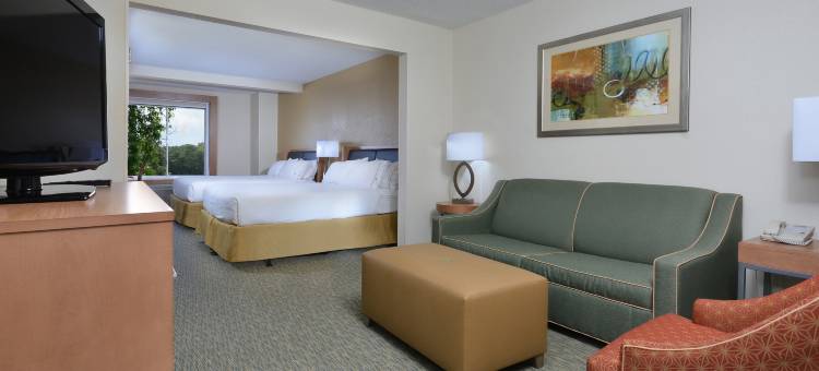 智选假日套房酒店高点南(Holiday Inn Express & Suites High Point South)图片