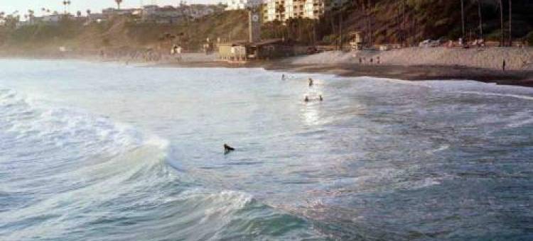 Blue Whale Inn San Clemente Jewel Unit D图片