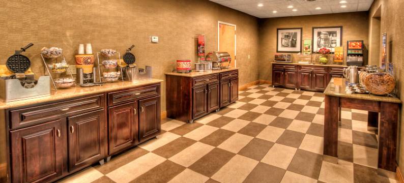 卡拉马祖奥施蒂莫欢朋酒店及套房(Hampton Inn & Suites Kalamazoo/Oshtemo)图片