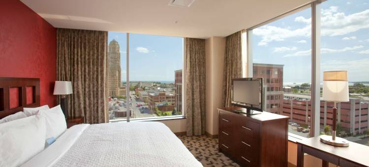 布法罗希尔顿安泊酒店(Embassy Suites by Hilton Buffalo)图片