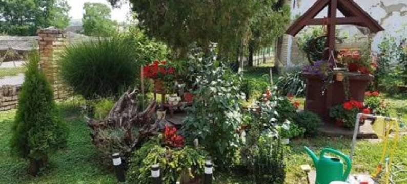 Apartman Kalinka图片