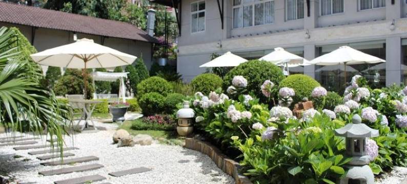 大叻曼青酒店(Muong Thanh Holiday Da Lat Hotel)图片