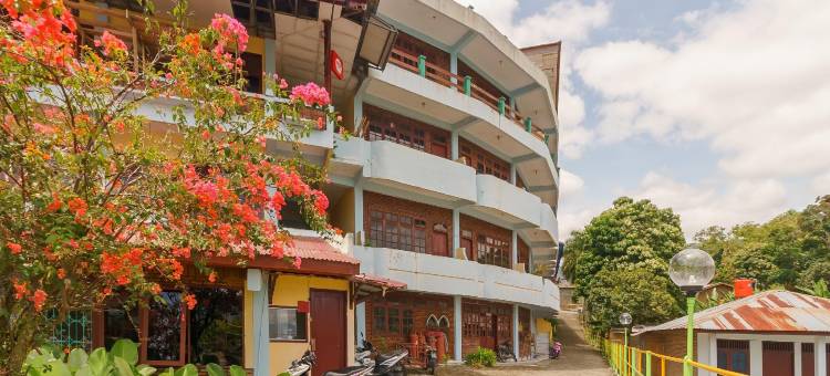 红多兹酒店-图科图克多巴湖(RedDoorz @ Tuktuk Danau Toba)图片