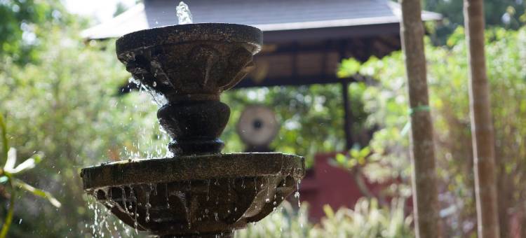 特里塔拉度假村(Tree Tara Resort)图片