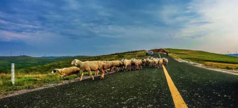 张北山乡情农家院图片
