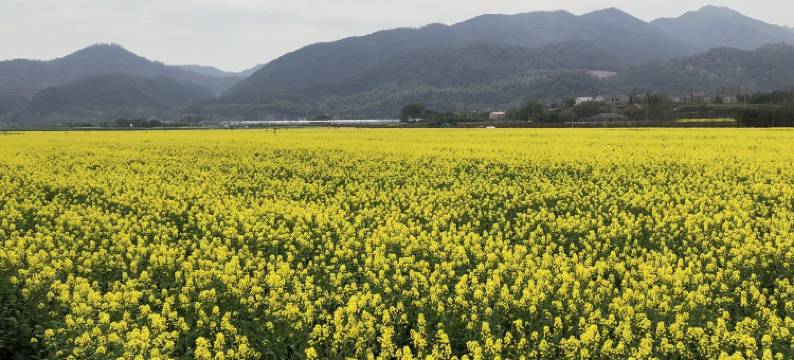 后浦家园特色民宿(大后线分店)图片