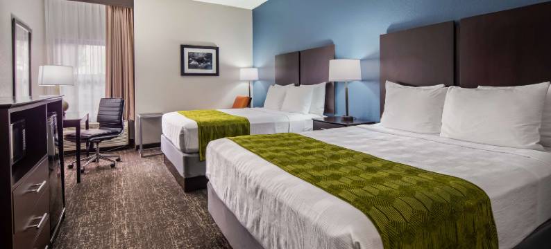 岩石丘贝斯特韦斯特酒店(Best Western Rock Hill)图片