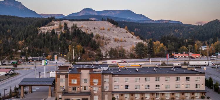 Holiday Inn Express 金(Holiday Inn Express Golden-Kicking Horse)图片