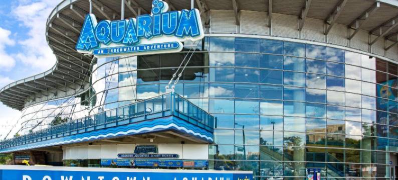 巴杰特酒店丹佛市中心(Budget Inn Denver Downtown)图片