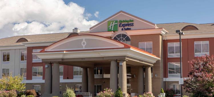 智选假日套房酒店宾厄姆顿大学的修女(Holiday Inn Express & Suites Binghamton University-Vestal)图片