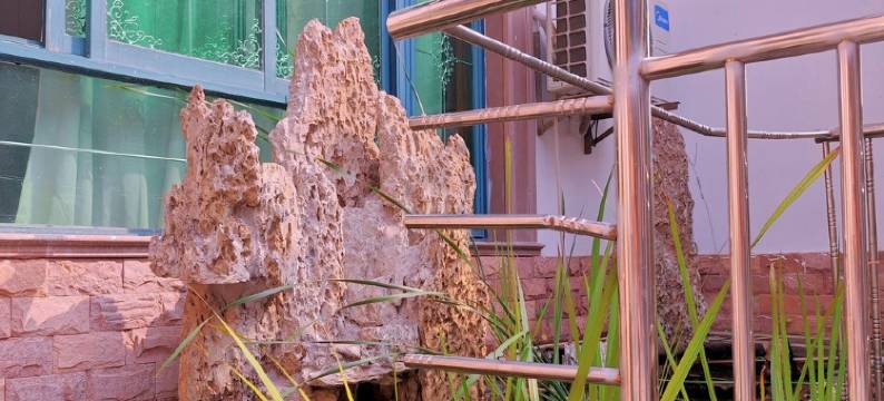 知竹居民宿(幸乐路分店)图片