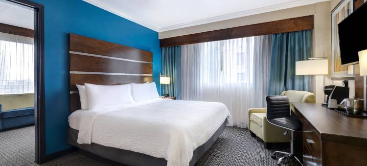 休斯顿市中心假日酒店(Holiday Inn Houston Downtown)图片