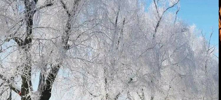 良栖公寓民宿(新山街分店)图片