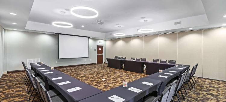 希尔顿欢朋套房酒店-中休斯顿10(Hampton Inn & Suites Houston Heights I-10)图片
