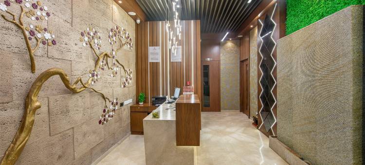 艾哈迈达巴德SK 贵族生态酒店(SK Lords Inn Ahmedabad)图片