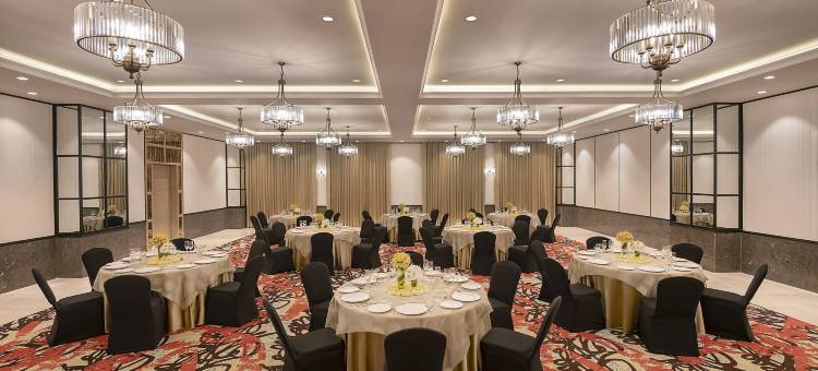 加尔各答新镇柠檬树高级酒店(Lemon Tree Premier, New Town, Kolkata)图片