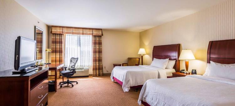 密尔沃基西北会议中心希尔顿花园酒店(Hilton Garden Inn Milwaukee Northwest Conference Center)图片