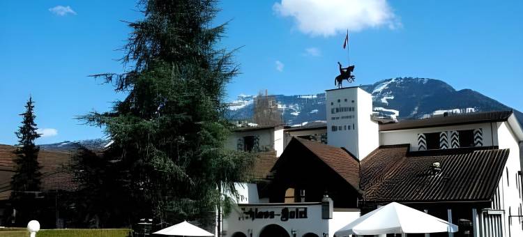 瑞士小木屋梅利斯阿亨 - 浪漫湖边城堡酒店(Swiss-Chalet Merlischachen - Romantik Schloss-Hotel am See)图片