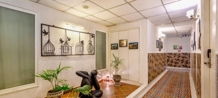 斯特林马贝拉德拉敦(Sterling Marbella Dehradun)图片