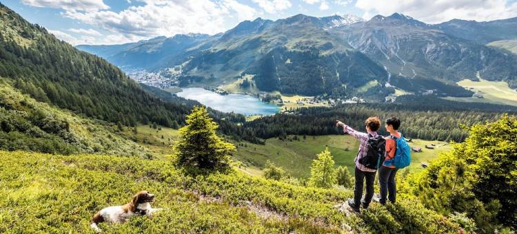 美隆达沃斯瑞士山庄度假酒店(Ameron Davos Swiss Mountain Resort)图片