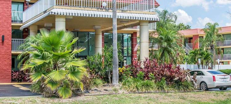 品质酒店及套房-热带风情球场(Quality Inn & Suites at Tropicana Field)图片