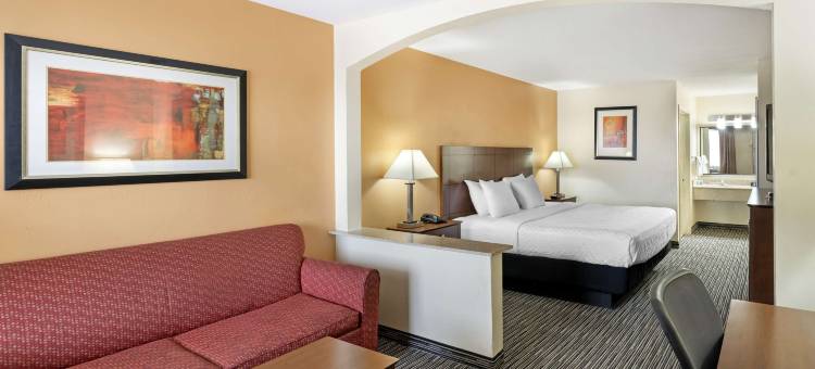 斯奈德贝斯特韦斯特酒店(Best Western Snyder Inn)图片