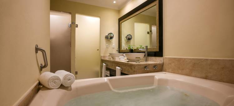 埃尔多拉多皇家，双体船，天然井，全包及更多限成人(Hotel El Dorado Casitas Royale)图片