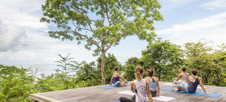 洛斯奥托斯度假村(Los Altos Resort)图片