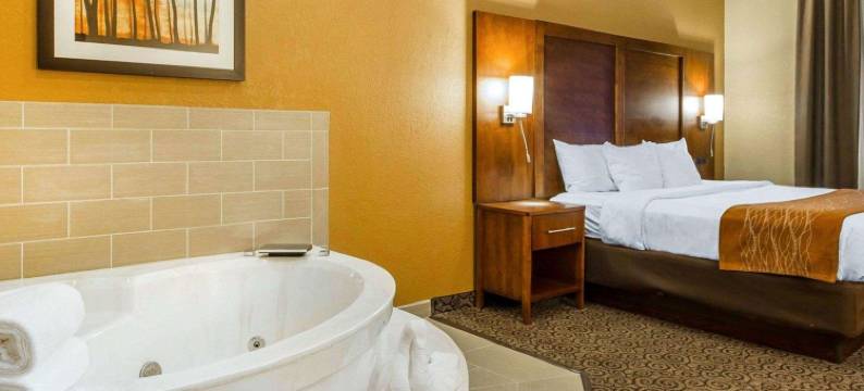 舒适套房酒店(Comfort Suites)图片